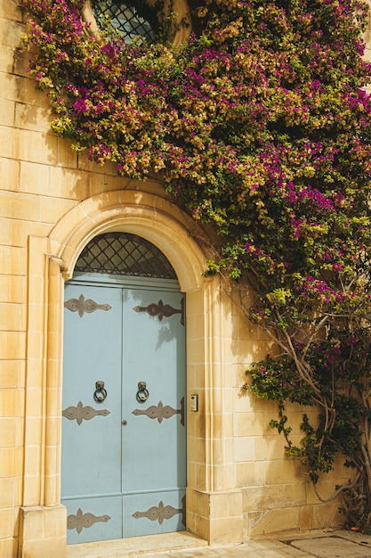 Free photo metal door of an old white building decorated with a plant with purple flowers