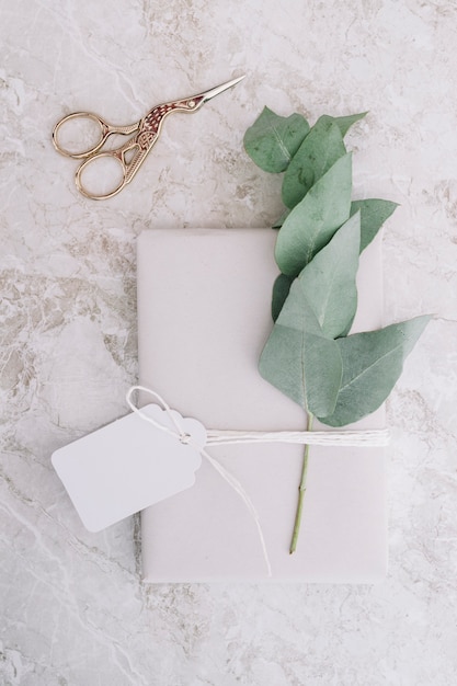 Metallic scissor and blank tag tied on white package with twig on background