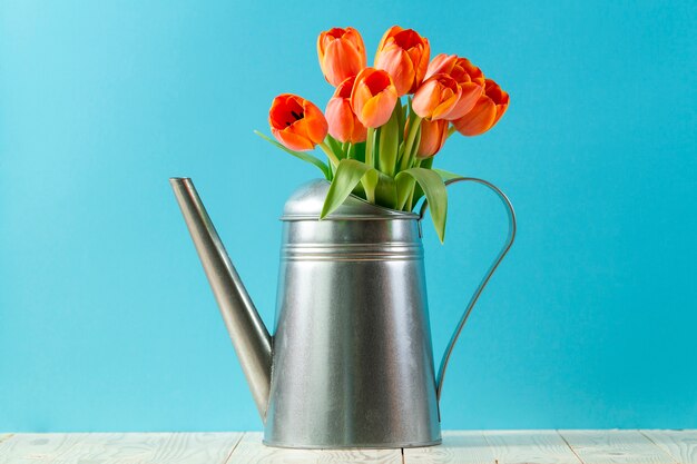 Metallic watering can with tulips and blue background