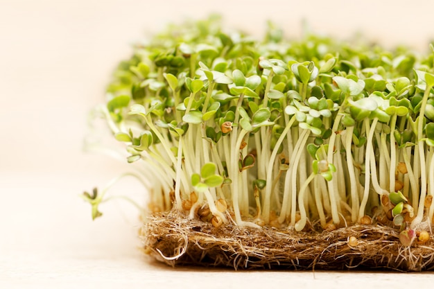 Free Photo microgreen. sprouted mustard seeds on linen mat close up