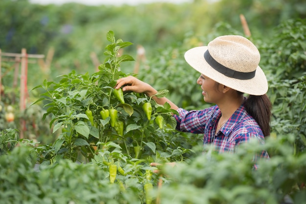 Middle aged woman farmer, with organic chili on hand