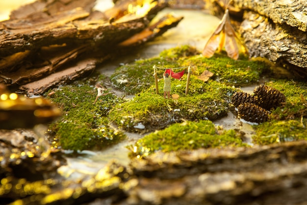 Free Photo miniature people on background of moss and bark