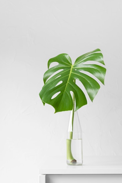 Minimal tropical leaf arrangement