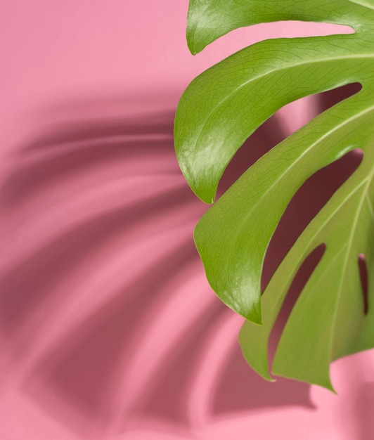 Minimal tropical leaf arrangement