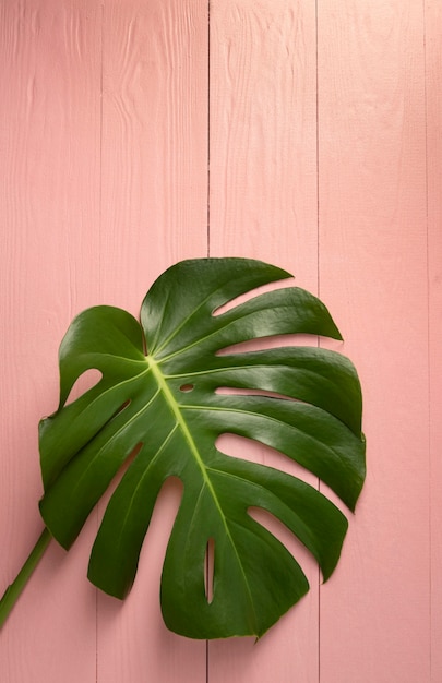 Minimal tropical plant composition