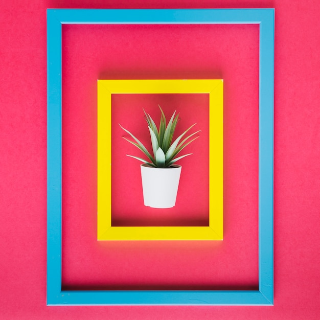 Free photo minimalist arrangement of colorful frames