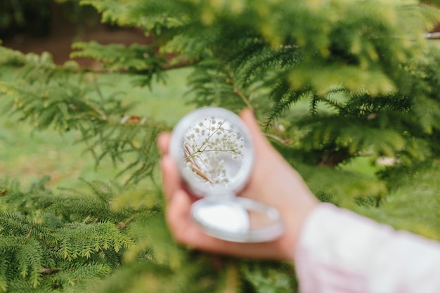 Free photo mirror in hand on forest background