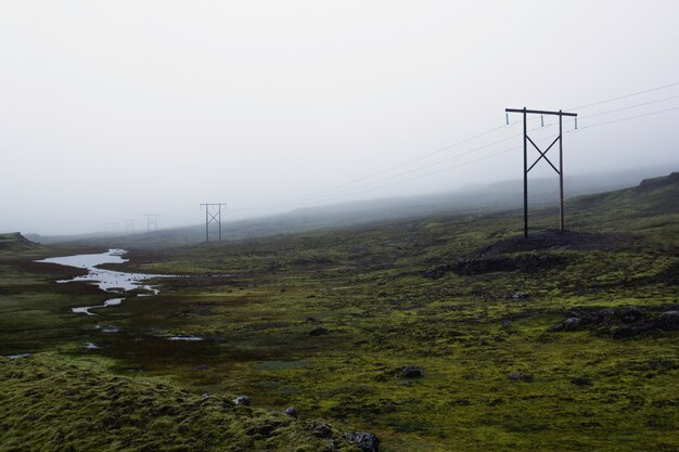 Mist landscape