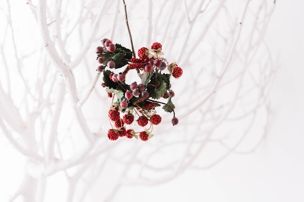 Free Photo mistletoe concept