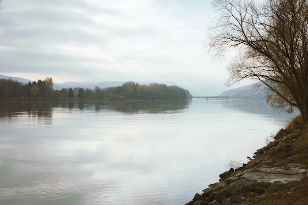 Misty river