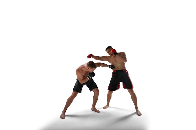 Free photo mma fighters on white background