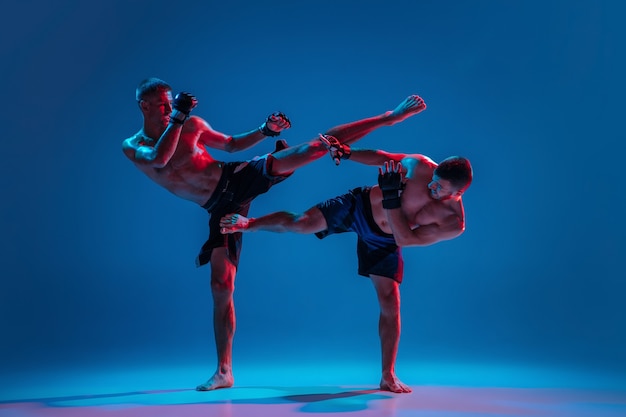 MMA. Two professional fighters punching or boxing isolated on blue wall in neon