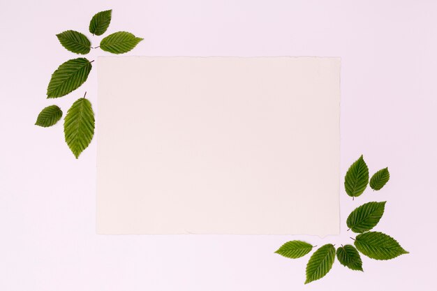 Mock-up frame card with leaves