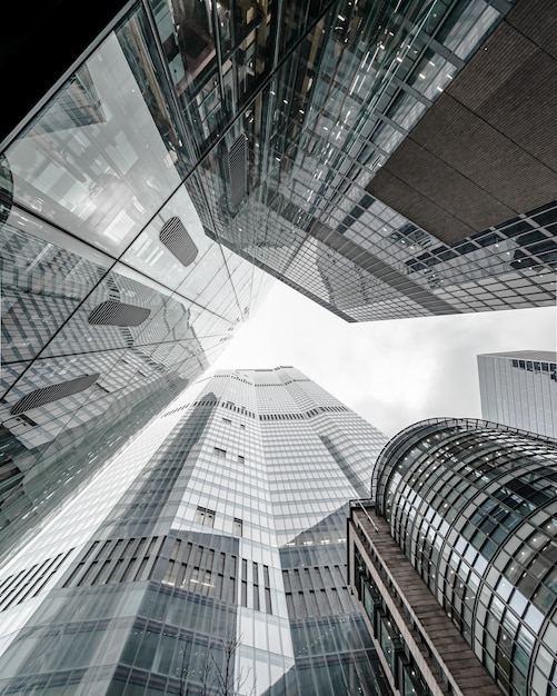 Free photo modern business building scenery touching the sky