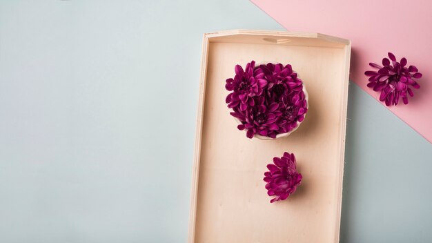 Modern flowers concept with elegant style