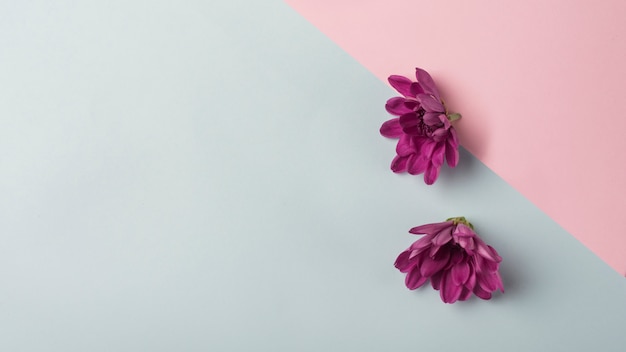 Free Photo modern flowers concept with elegant style