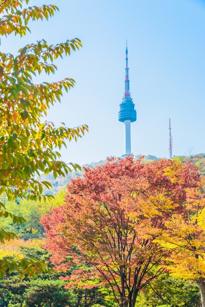 Free Photo modern maple architecture night korea