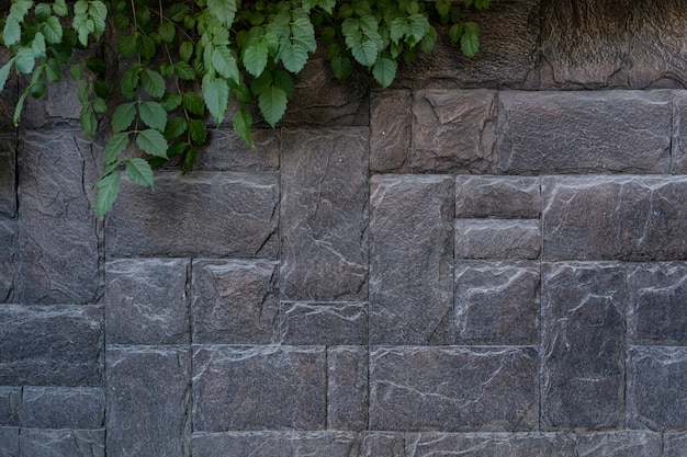 Free photo modern stone brick wall background with a green plant. stone texture with copy space