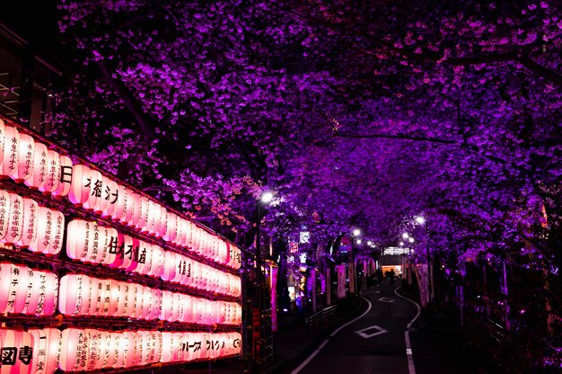 Modern tokyo street background