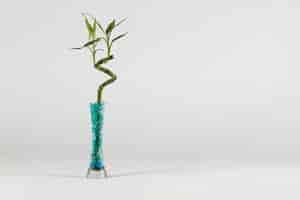 Free photo modern vase with bamboo