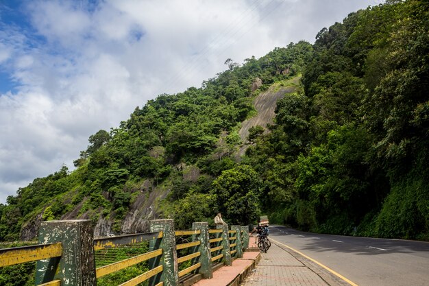 Monkey sitting on the side of a highway with tall hill in the background