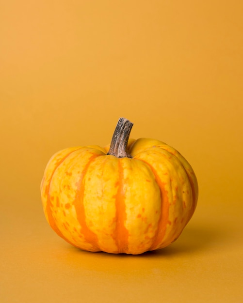 Free Photo monochromatic still life composition with pumpkin