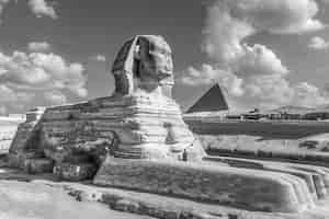 Free photo monochrome view of sphinx for world heritage day