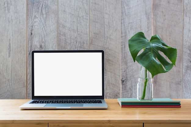 Monstera leaf in glass bottle over the books and laptop with white screen