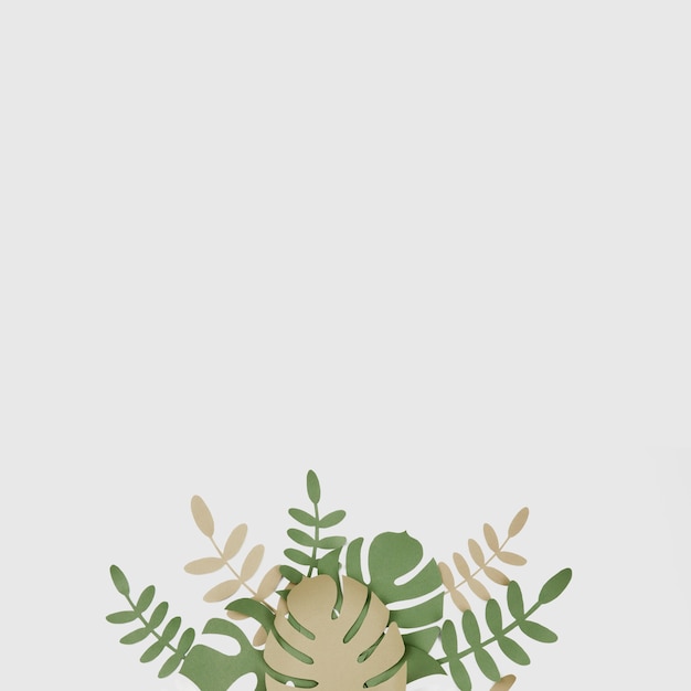 Free photo monstera leaves with copy space background