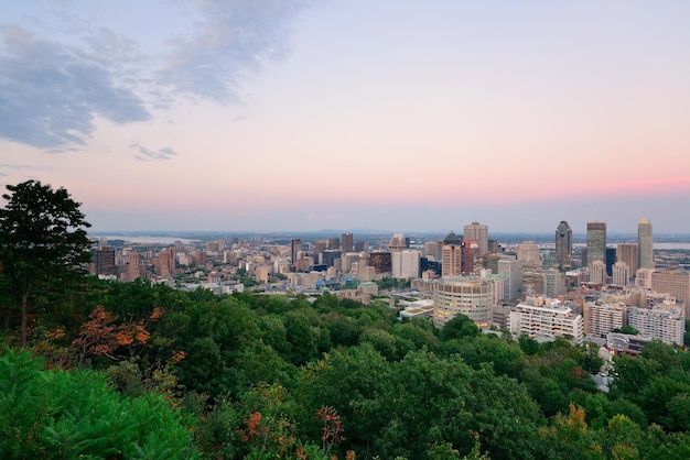 Free photo montreal city skyline