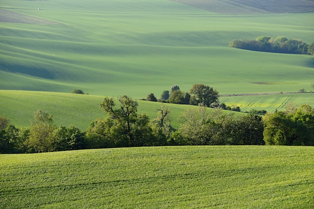 Free Photo moravian tuscany – beautiful spring landscape in south moravia near kyjov town. czech republic - e