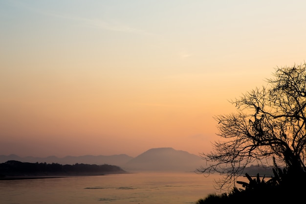 Morning sunlight  landscape with tree,  and river