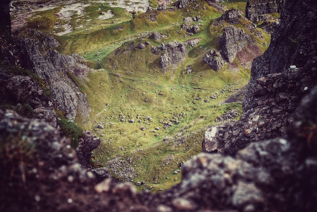 Free photo moss in the rocks and the grass