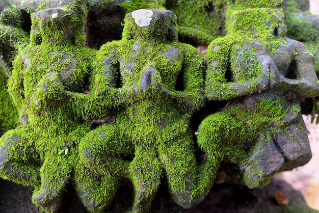 Free photo mossy stone sculptures