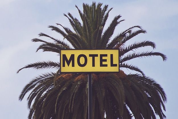 Motel signage in front of a palm tree during daytime