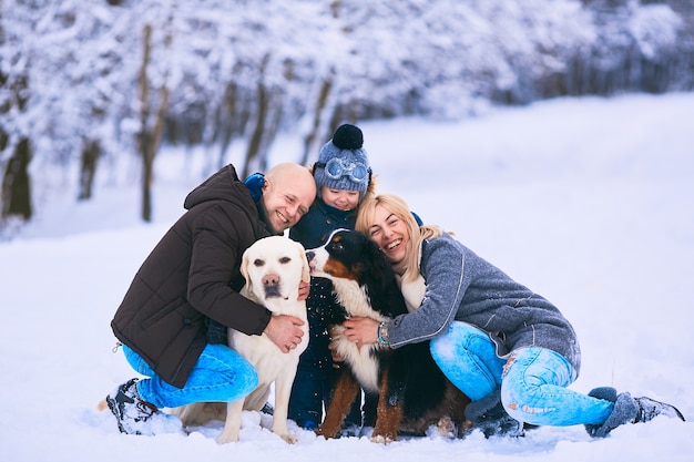 Free Photo the mother, father, son and dogs sitting on the snow