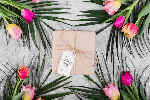 Free Photo mother`s day gift box and tulips and palm