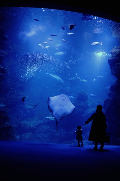 Free photo mother and son at the aquarium