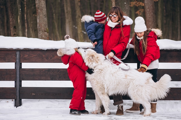 Free photo mother with children and dog playing outside in winter