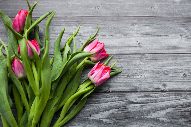 Free Photo mothers day spring flower white