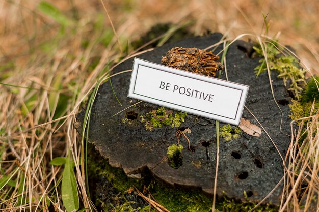 Motivating writing on stump