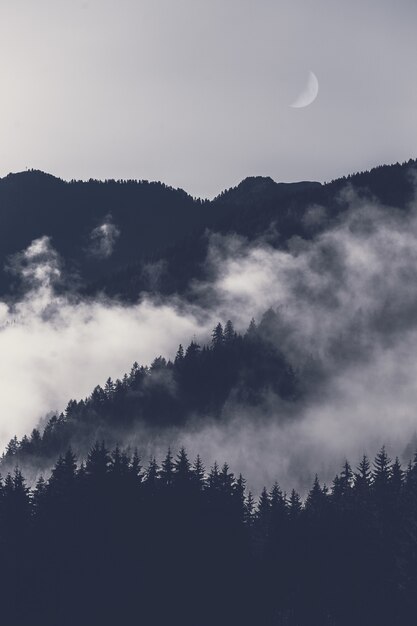 Mountain Covered With Fog