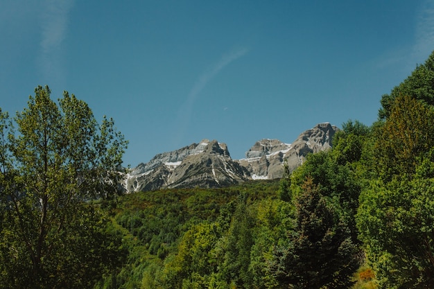 Free photo mountain landscape with green trees