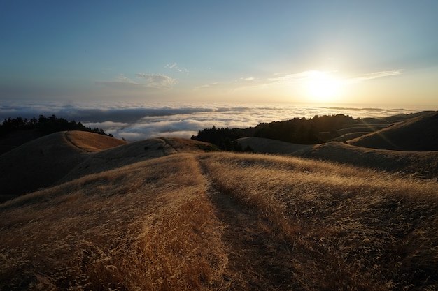 Free photo mountain tam in marin ca cover in dry grass field with visible skyline