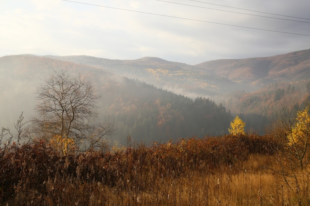 mountain with fog