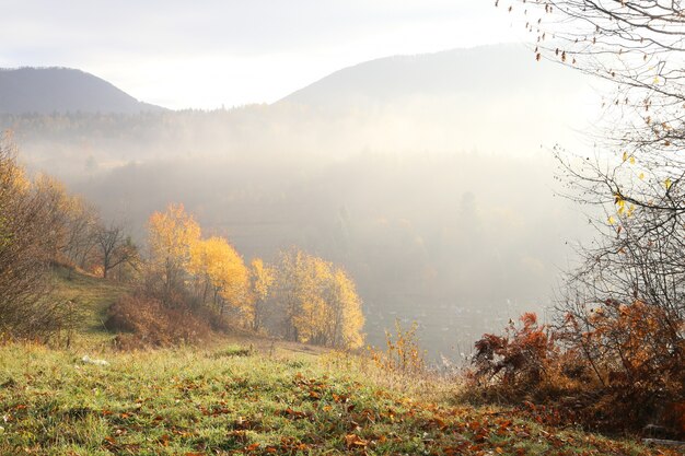 mountain with fog