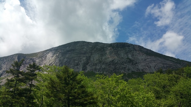 Free photo mountain with trees