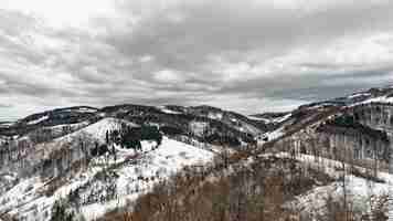 Free photo mountain zlatibor, serbia at winter.