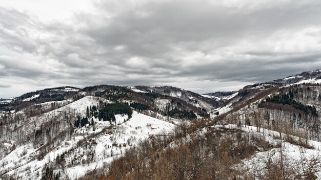 Mountain Zlatibor, Serbia at winter.