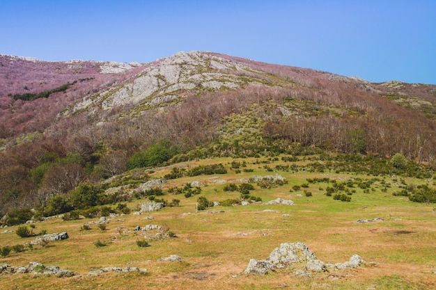 Free photo mountainous countryside